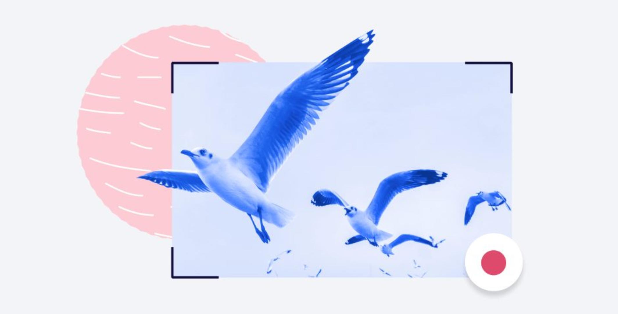 windows最好用的视频播放软件,windows十大屏保工具