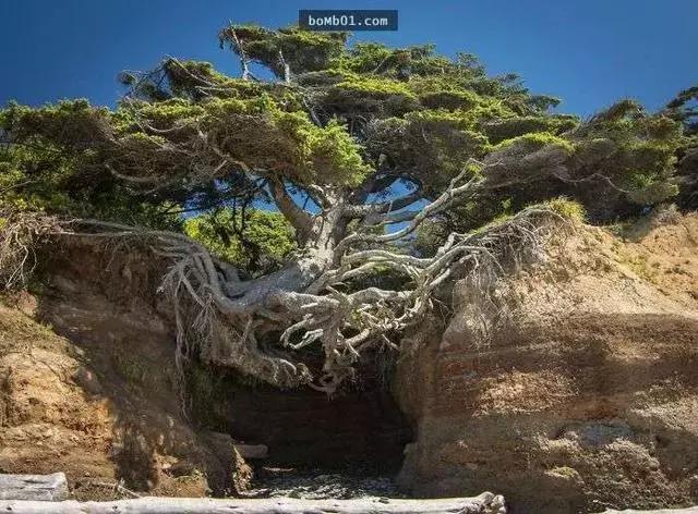 24张不可思议的图,24张罕见照片99%的人没见过