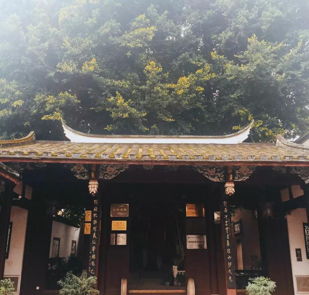 福州丫霸全部视频,福州丫霸音乐