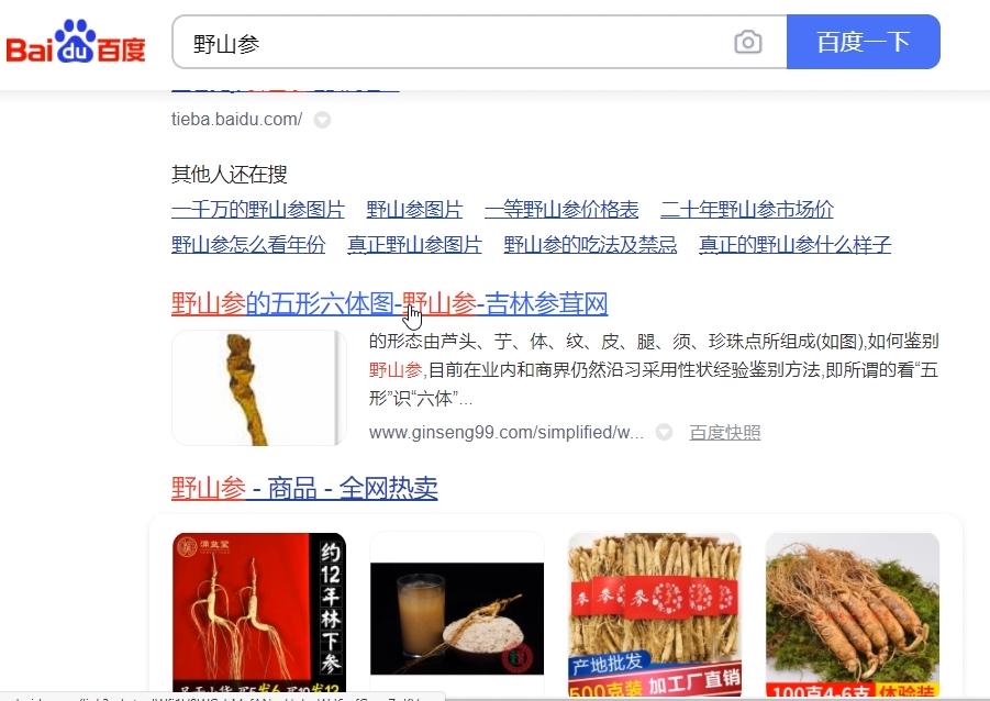 搜索引擎营销的5大步,搜索引擎营销全景