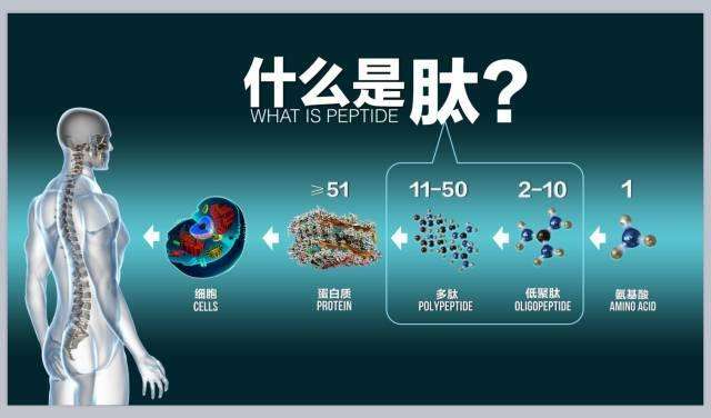 人为什么会生病最新版,从哲学角度看人为什么要生病