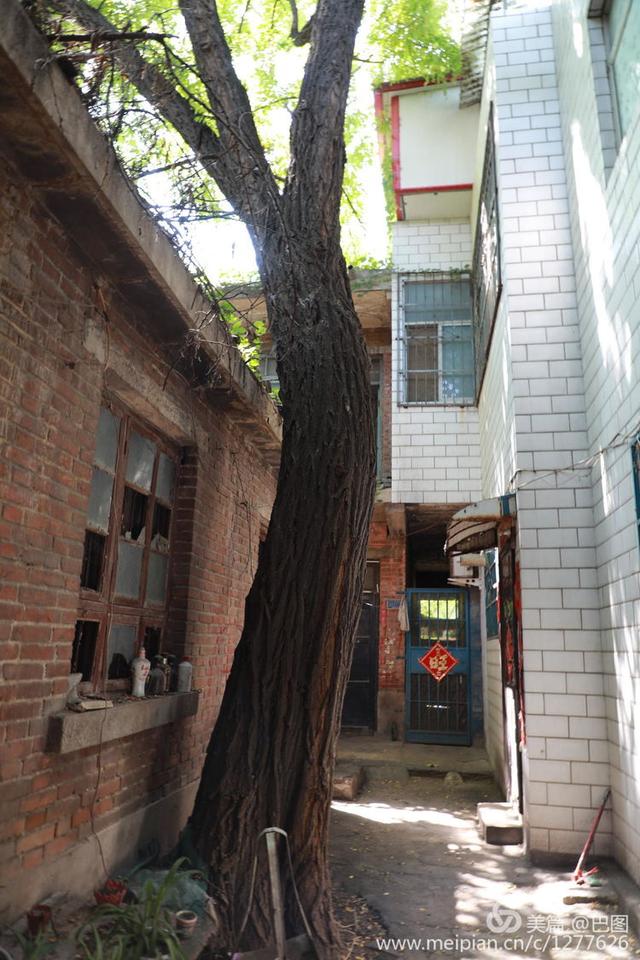 历史上洛阳东关大石桥照片,洛阳历史文化景点24小时打卡