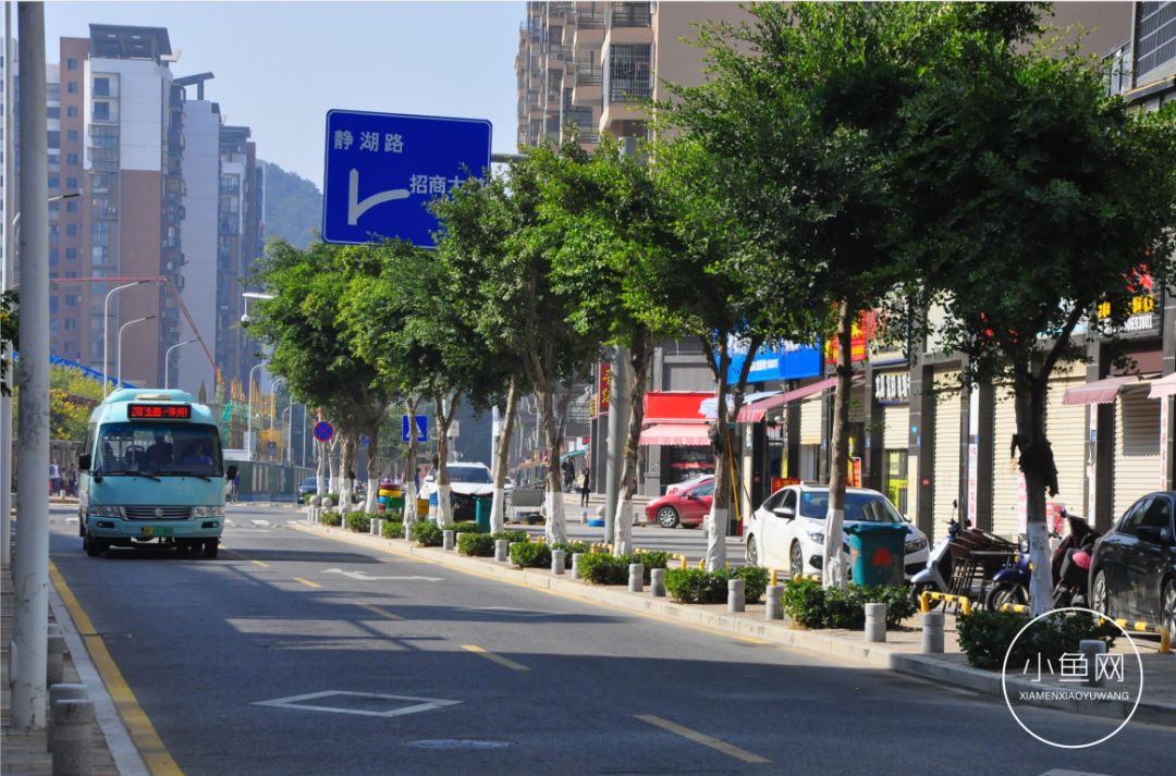 鬼城or未来可期？我们走进漳州港，发现“接盘侠”的各种悲喜交加