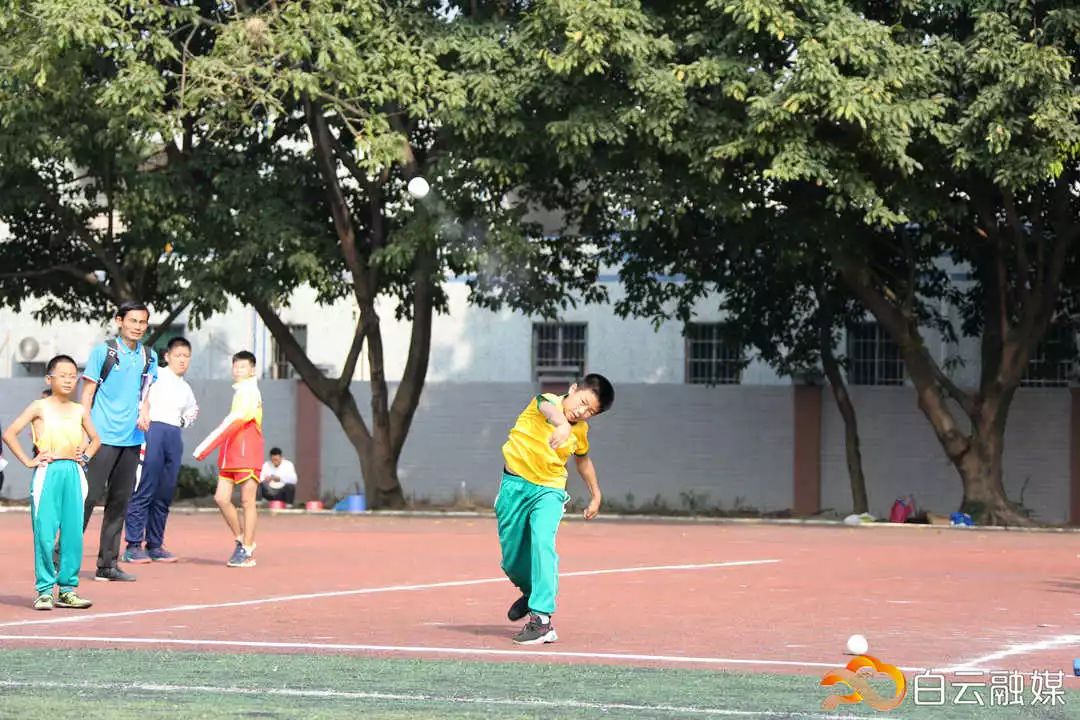 横栏小学校园田径运动会,2019白云区中小学生田径运动会