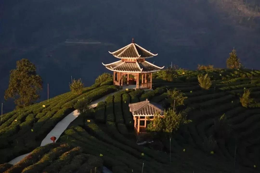 中国五大茶旅胜地,中国十大茶旅城市有哪些