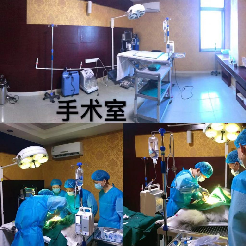 鐘槦鐚槦缁嗗皬,鐚梾涓績