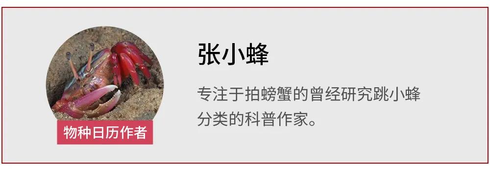 曾经能买一幢楼的钱，被拿去买了一只螺