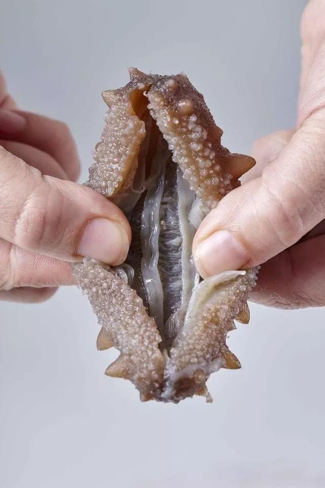 海参是北极参好还是辽参好,海参刺参光参