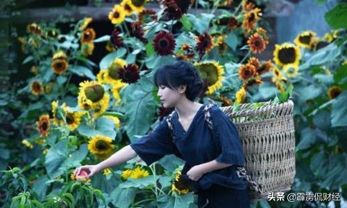 马云农村未来20年将有大发展,马云未来5年农村三大行业