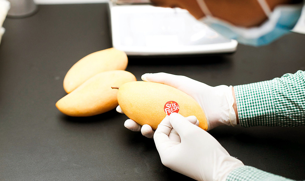 真空包装食品科普,食品包装知识