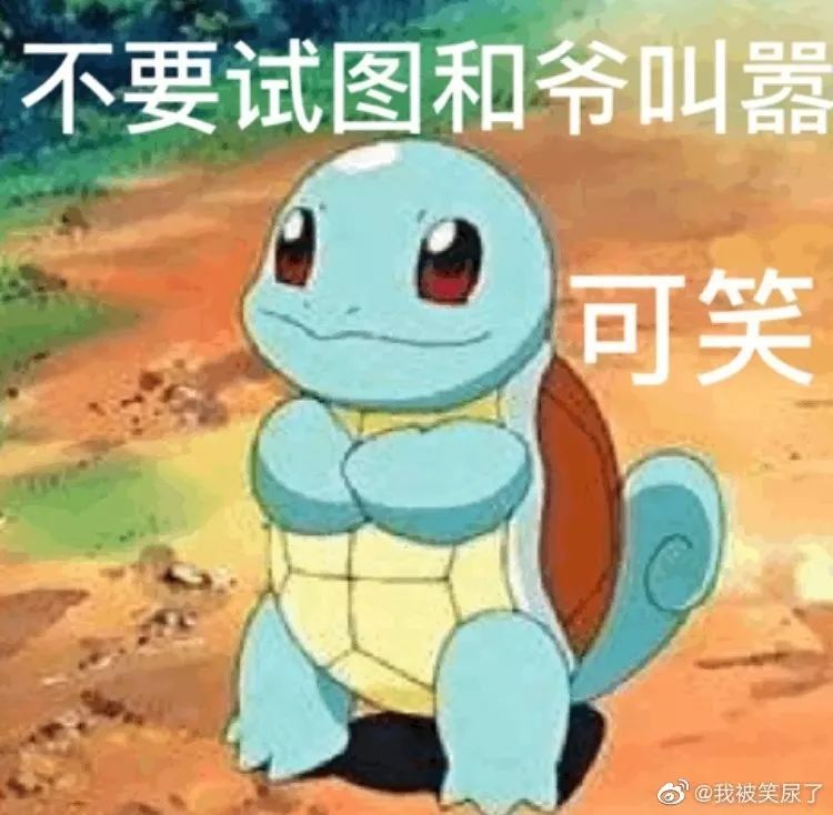 比瑞吉和爱肯拿哪个好,比瑞玛吉