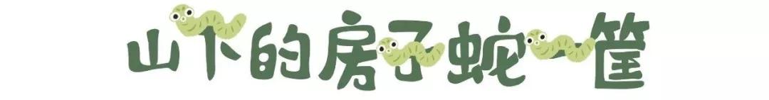 在动物园散步才是正经事|暴走福州