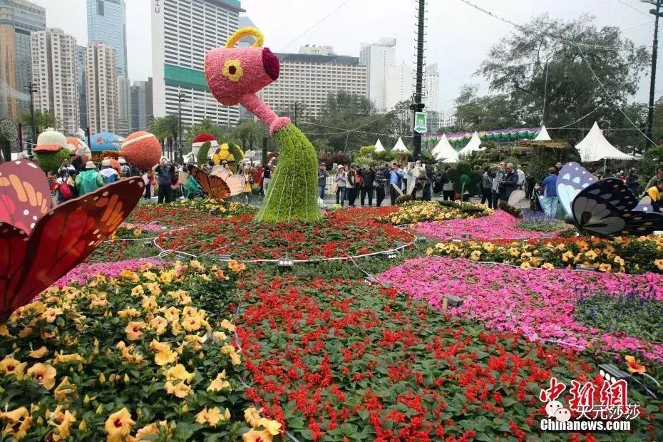 共赴盛会活动,香港国际花卉展