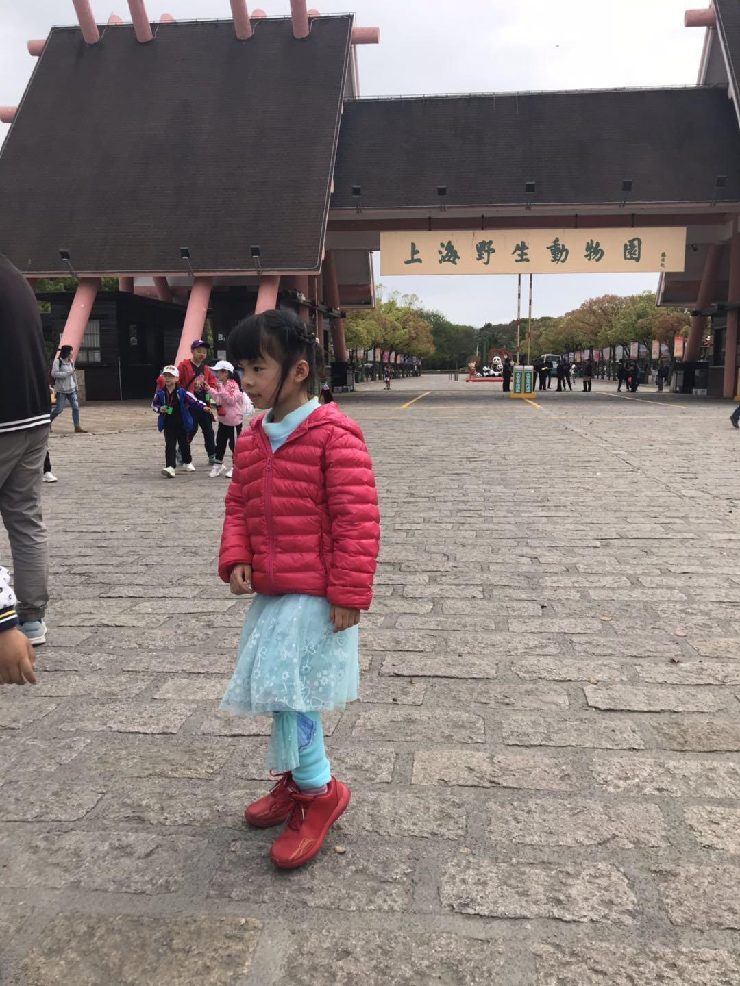 上海野生动物园太阳广场节目安排,上海野生动物园建议游玩时间