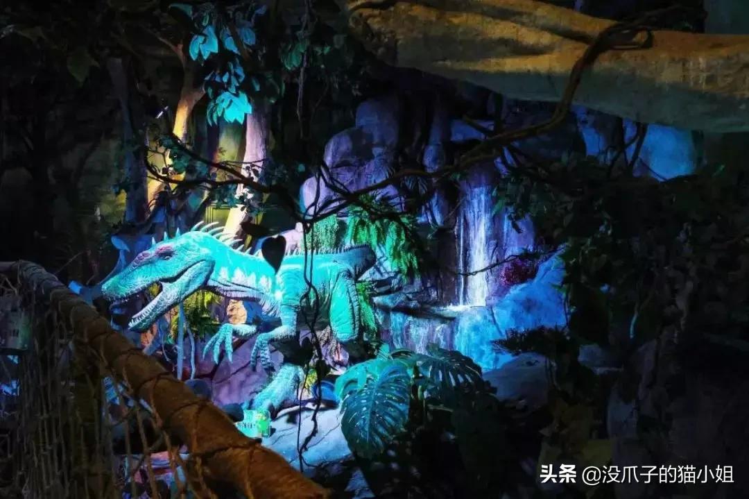 合肥游泳避暑地点,合肥避暑好玩的地方