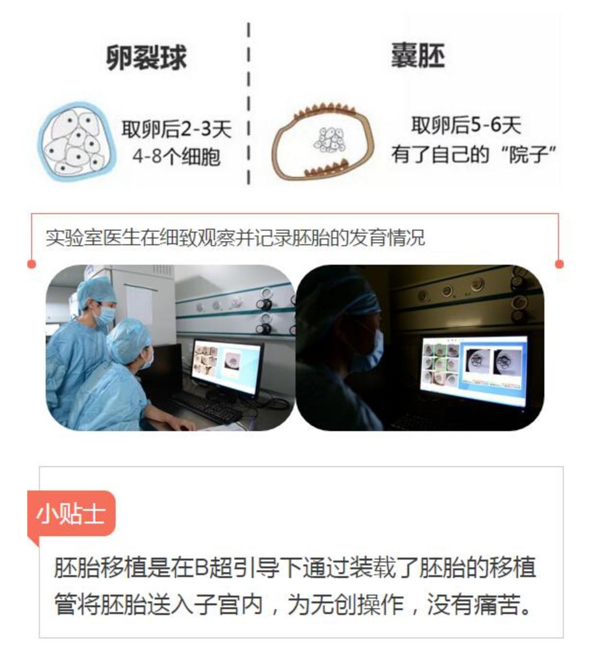 做试管胚胎不要了怎么处理,后悔生了试管婴儿怎么办