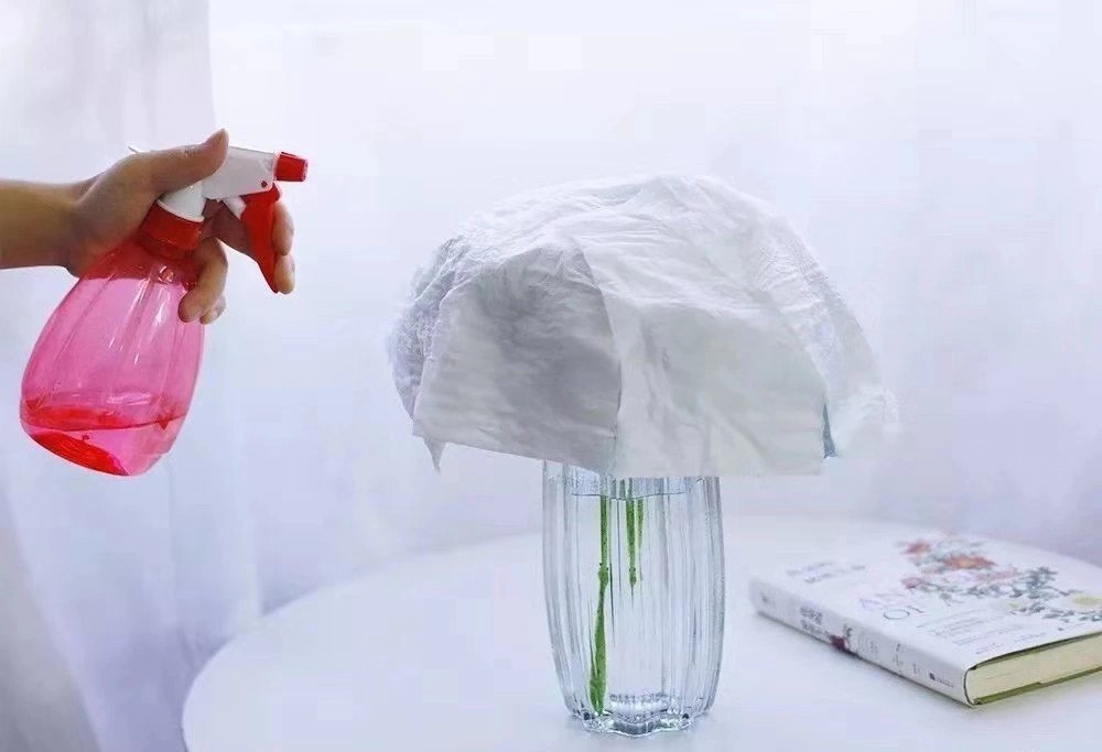 绣球花买回来一天就蔫了怎么办,绣球花彻底蔫了怎么办