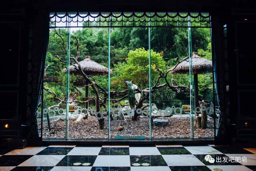 长隆飞鸟乐园怎么去长隆欢乐世界,汉溪长隆地铁站去长隆飞鸟乐园