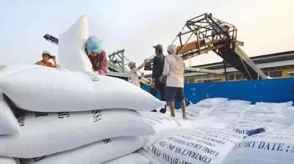 搬起石头砸自己的脚?越南暂停向中国出口大米,自己却损失惨重