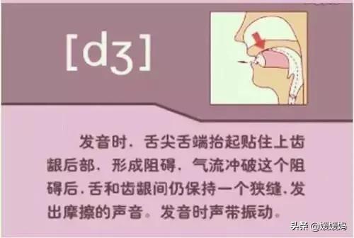 音标教学视频48个快速记忆法,英语48个音标发音教程视频