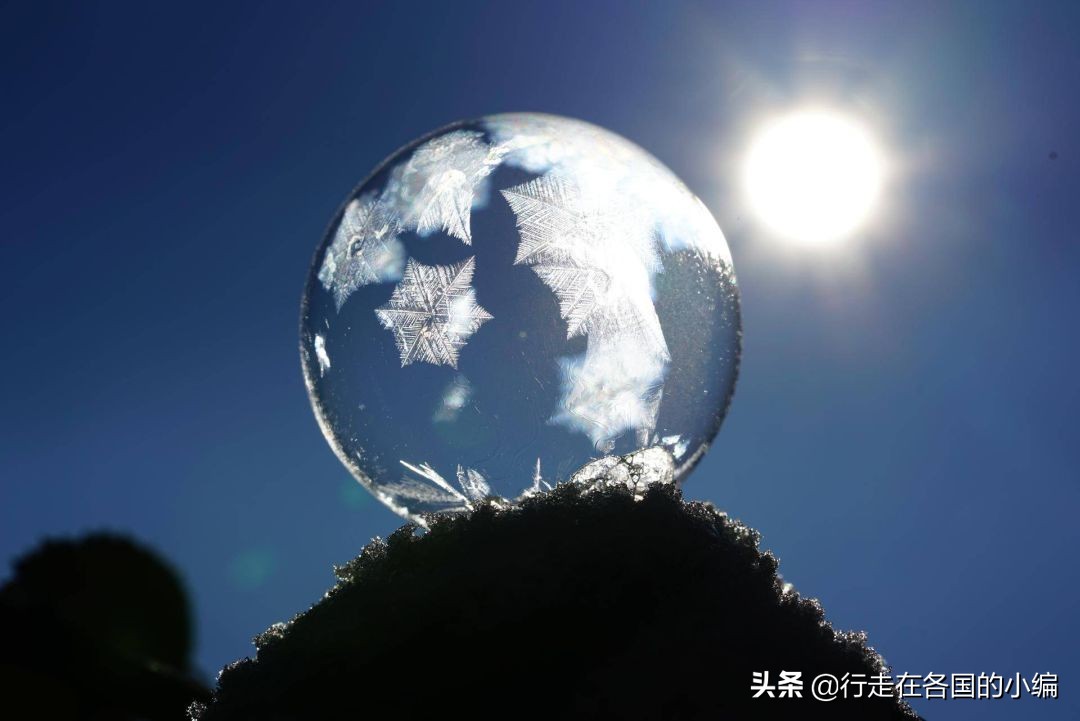 日本伪科学产品,日本伪科学交了多少智商税