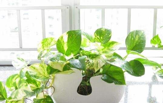 家里甲醛超标怎么去除甲醛最有效,家具有甲醛怎么去除甲醛