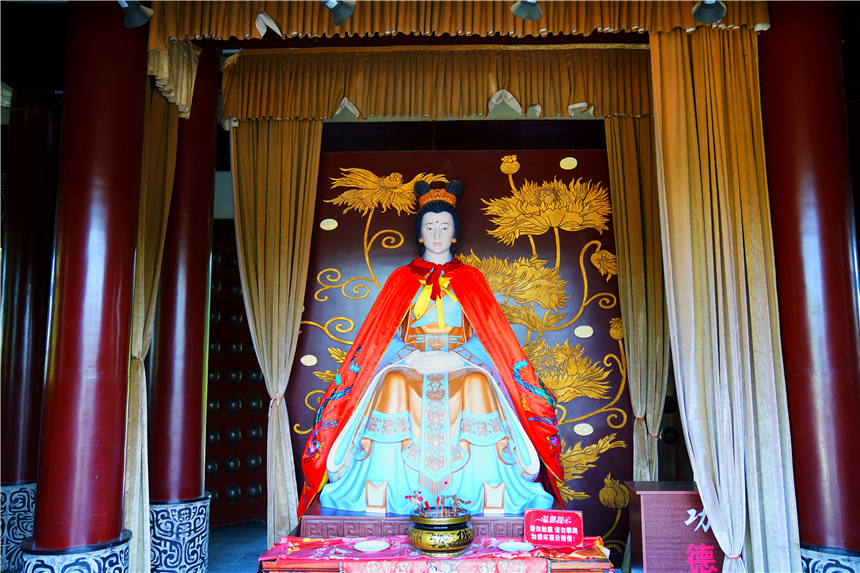 我和宿州有个约会,一场花事,一次慢旅行,探寻最烟火的宿州味道