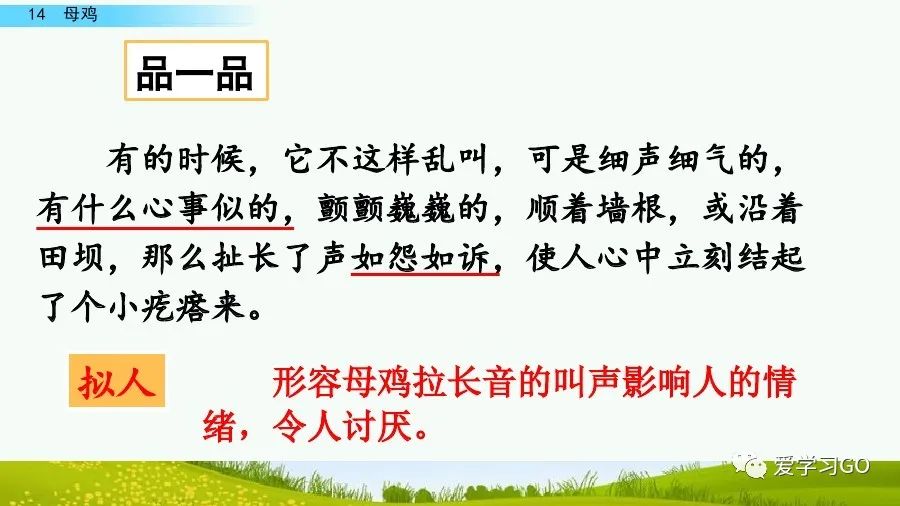 部编版四年级下册15课白鹅解析,部编版四下语文第13课母鸡预习