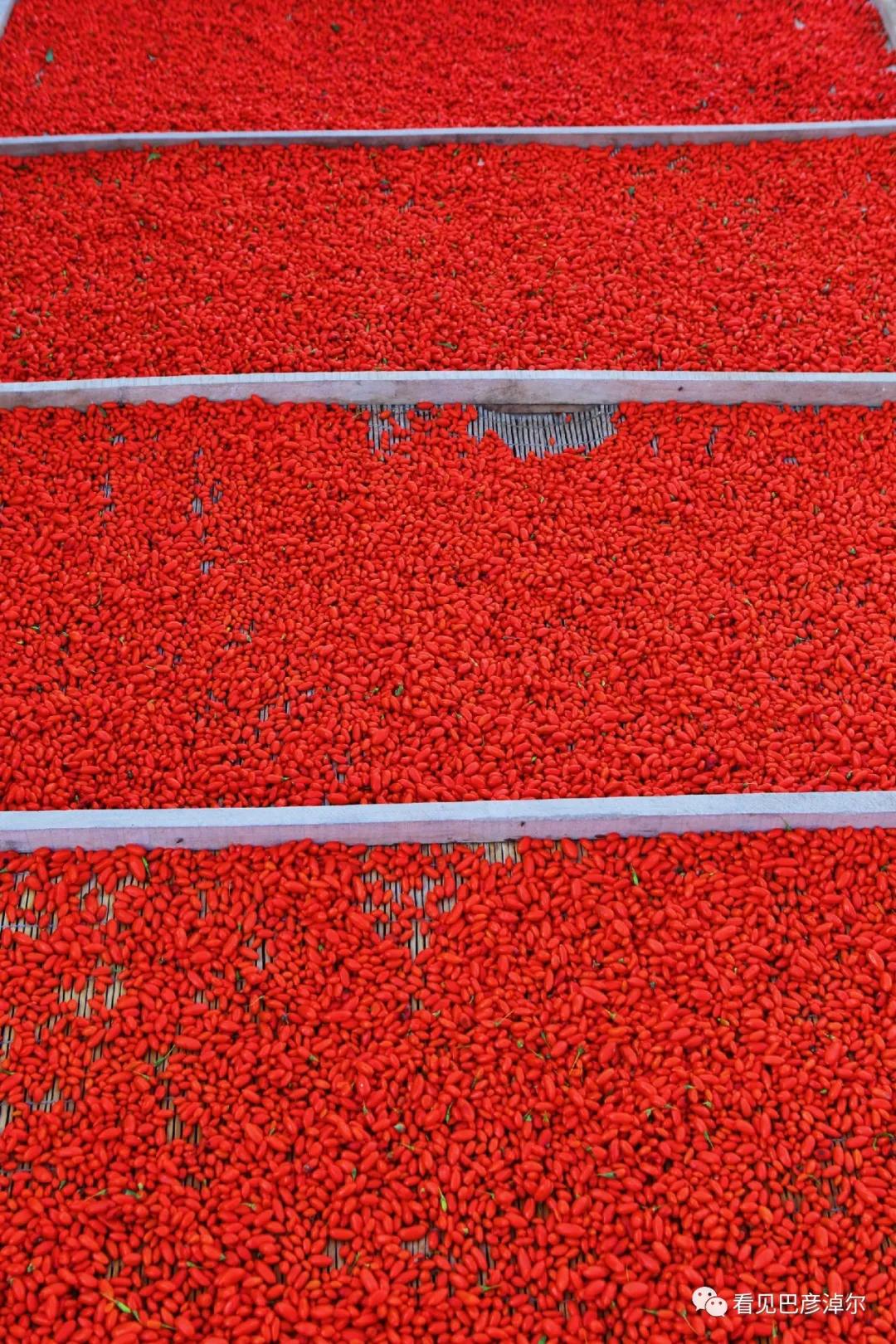 七分钟带你领略大美乌拉特前旗 (带你去看乌拉特前旗)