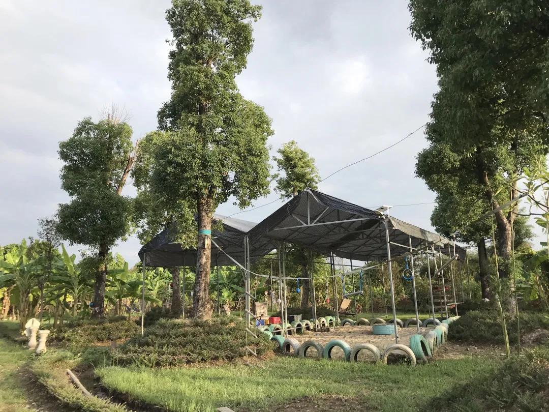 人气最旺的亲子农场,世外桃源亲子农场探店