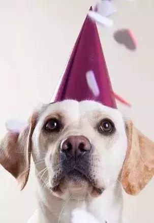 秋冬宠物常见病防治,宠物秋冬季节疾病预防