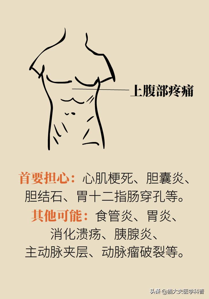 突然毫无征兆的肚子疼怎么办,肚子疼不是胃的问题还可能是什么