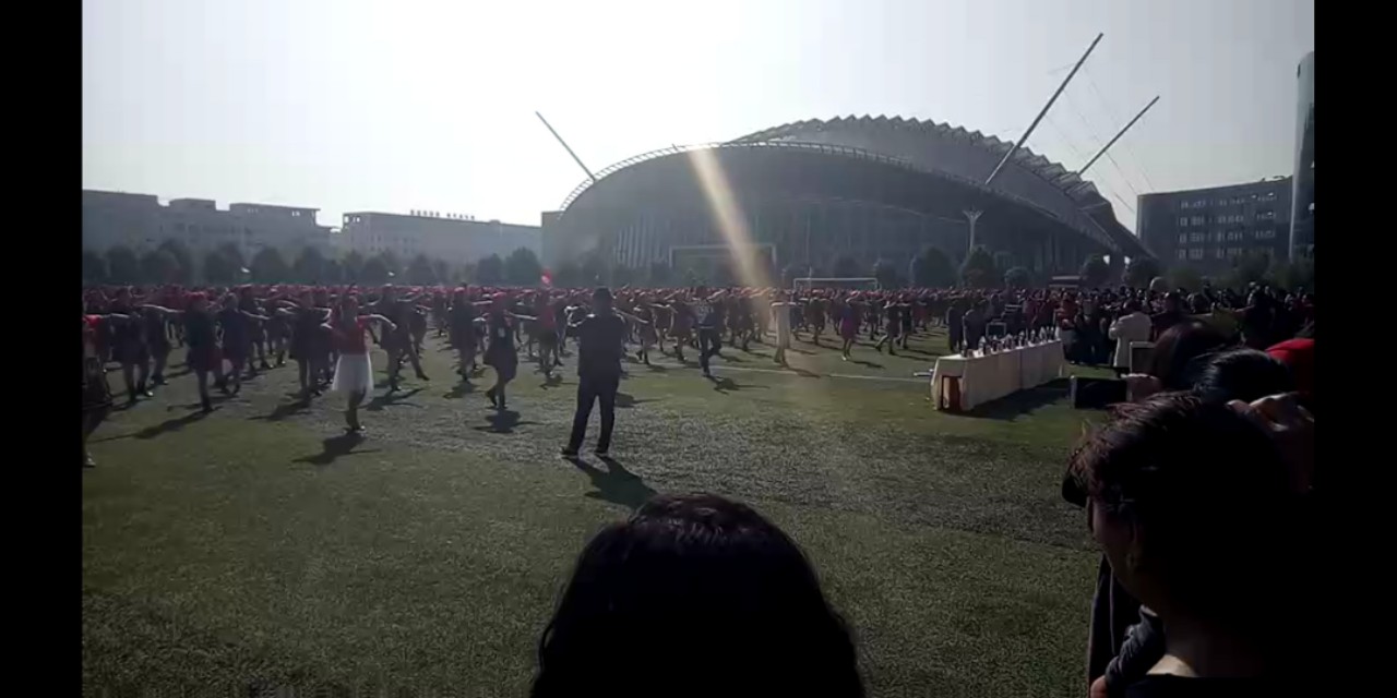 我的偶像——杨艺