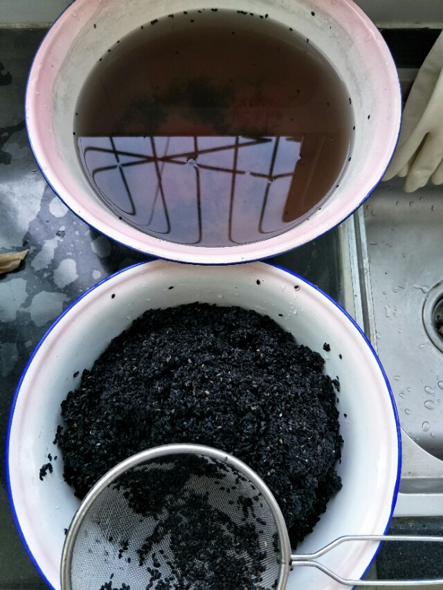 洗芝麻妙招,洗芝麻的小窍门