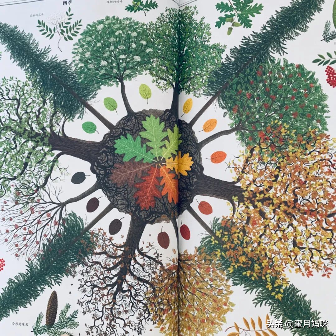 树木科普书籍,关于各种树木知识的书籍