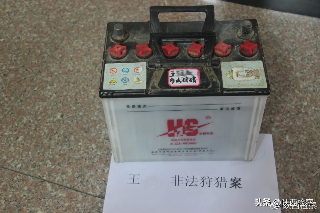 野生动物保护公益诉讼检察建议,多部门推动野生动物公益司法保护