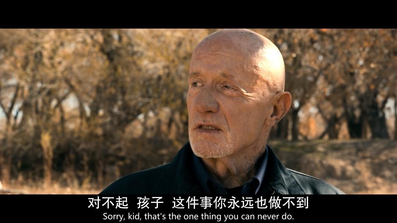 绝命毒师之续命之徒电影版解说,绝命毒师电影续命之徒好看吗