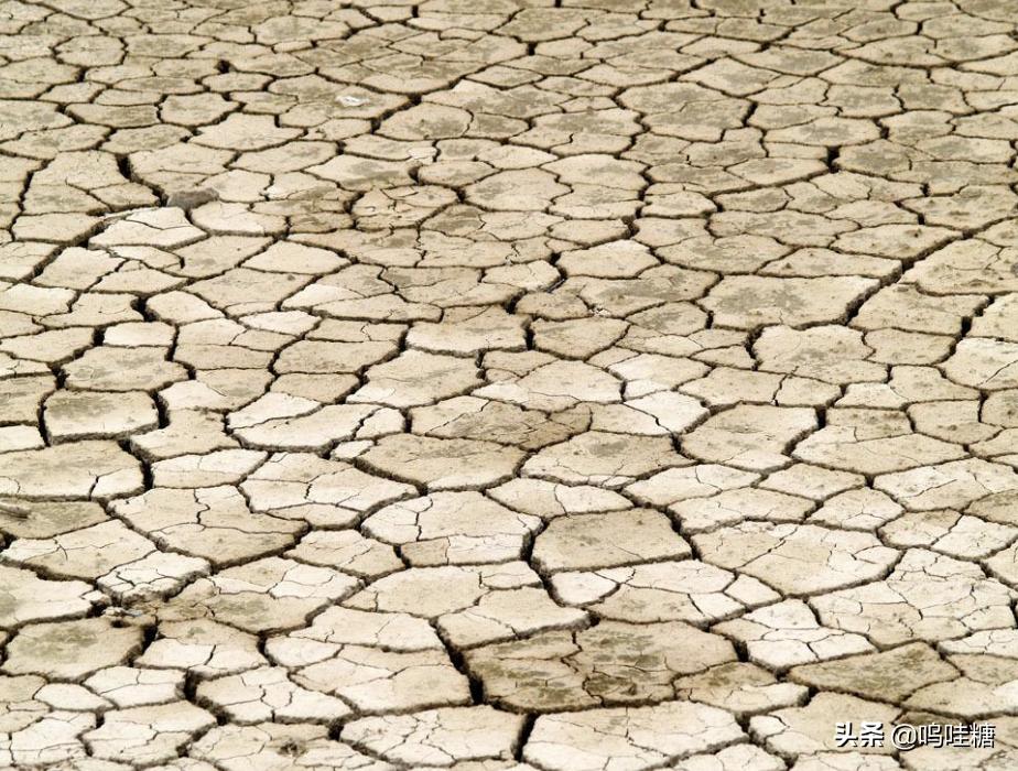 电话销售怎么增长业绩,电话销售怎样快速提升业绩