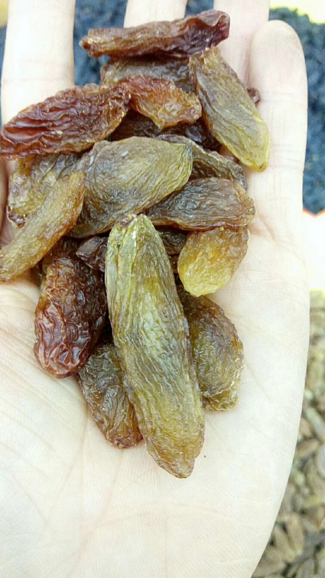 朋友们*疆新**的葡萄*你干**们知道有多少种吗？