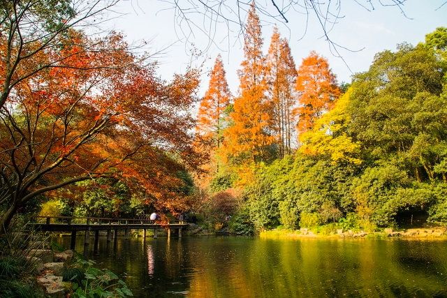 杭州必打卡景点人气榜,杭州旅游必须去的十大景点推荐