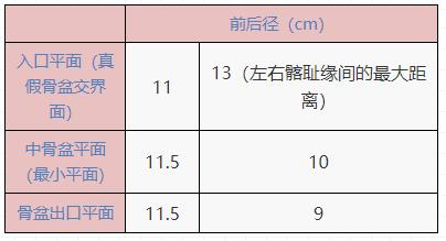 生殖系统解剖考点,妇科生殖系统考点