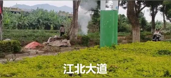 小车抄4遍摩托抄2遍!南安又有一批人因违停抄8113字条例