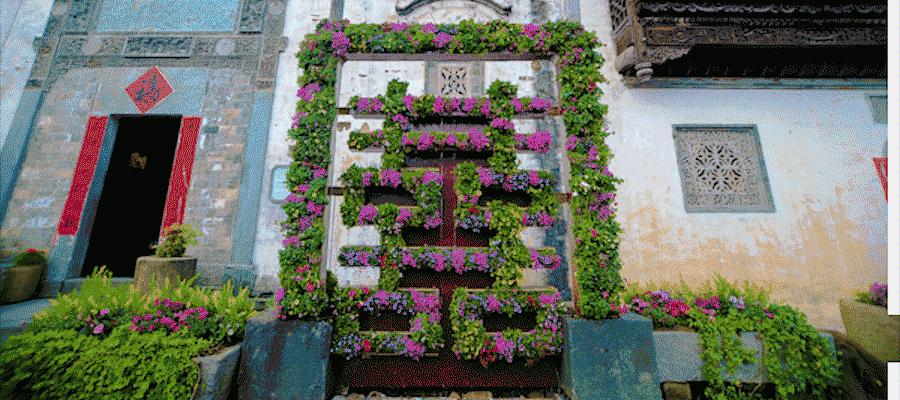 篁岭第八届晒秋节,篁岭丰收节