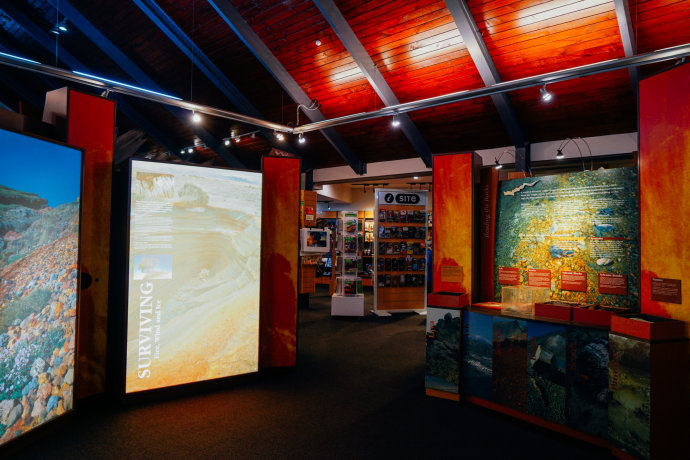 新西兰｜在首屈一指的滑雪胜地，与黑天鹅一起戏水