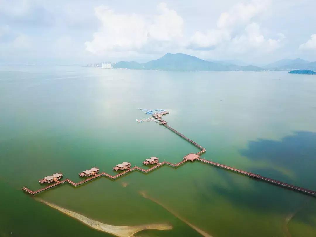 希尔顿亲子度假,惠州希尔顿亲子度假