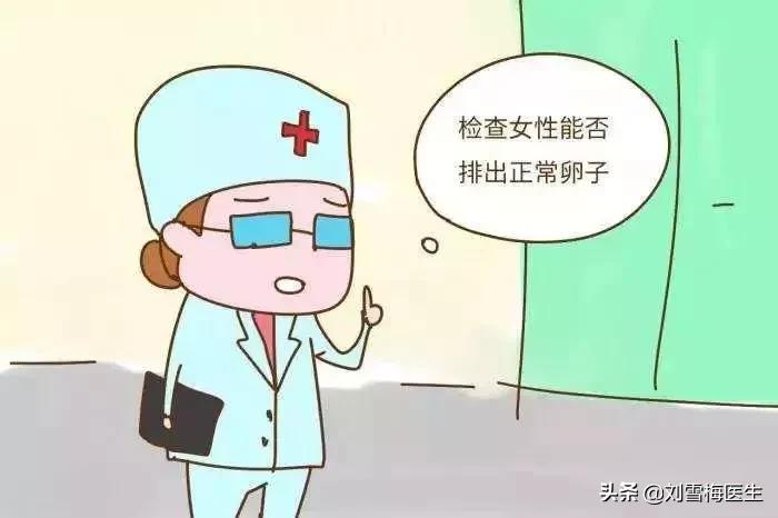 女性不孕的常见原因排行,女人不孕做什么检查