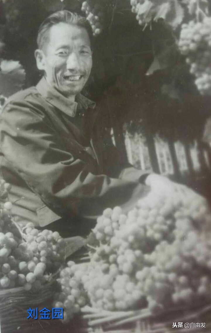 东园青史三百年（一）