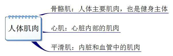健身十年问啥都懂,健身你懂啥