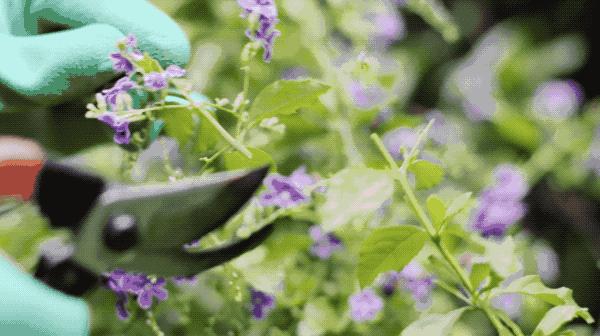 家具不要买太多极简生活,家具都是捡来的