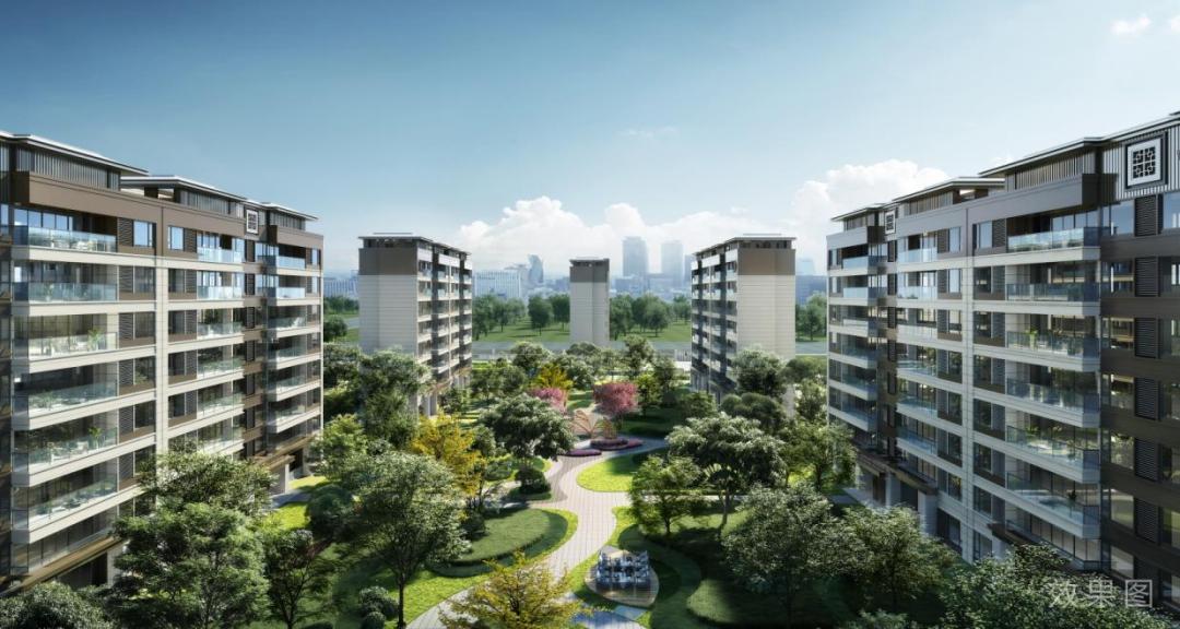 城市观察合肥,城市观察城市生活